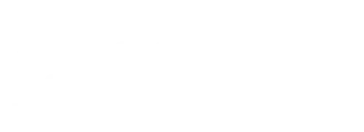 Logo sem n